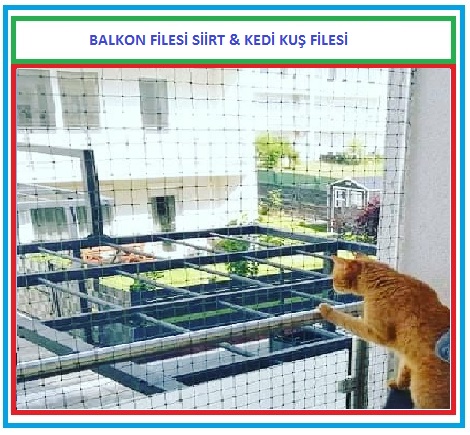Kuş ve Kedi Filesi 